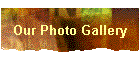 Our Photo Gallery