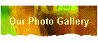 Our Photo Gallery