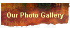 Our Photo Gallery