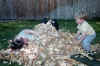 B-Man_&_Mommy_in_fall_leaves_01-2.jpg (421305 bytes)