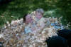 B-Man_&_Mommy_in_fall_leaves_01.jpg (440293 bytes)