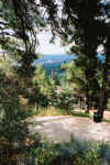 COS frm ChyMnt Zoo.JPG (78178 bytes)